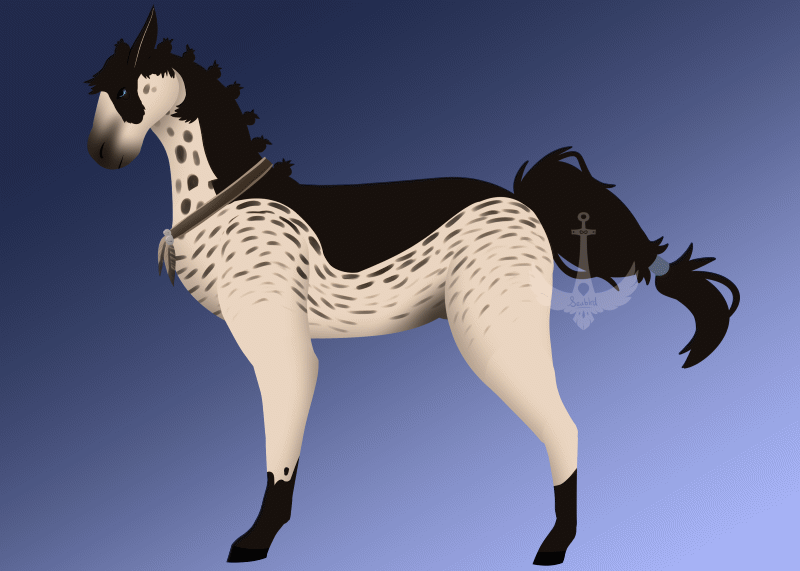 for OrdinaryRedtail for OrdinaryRedtail